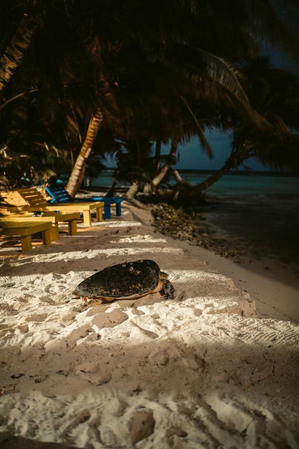 Ranguana Caye Cabanas Placencia 外观 照片